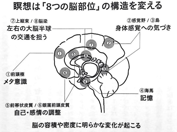 v2-87a23582a704b10e5806eca8bcebfa1f_720w.jpg